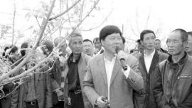 又到疏花疏果时 精心管理保品质