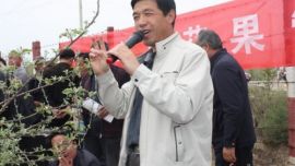 庆阳市举办苹果花果管理技术培训班