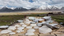 舌尖上的吉爾吉斯游牧民族（組圖）