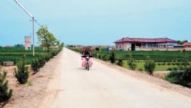 主动出工助修路 让地毁树不谈赔