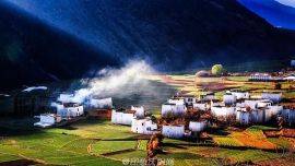 白珍珠灑落人間 鄉(xiāng)城白藏房