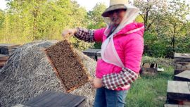 甜蜜的事業(yè) 攝影/江 山 【印象慶陽網(wǎng)】