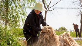 市直机关数千名干部职工集中打扫城乡卫生