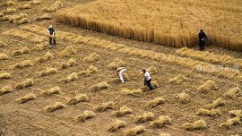 “隴東糧倉(cāng)”夏收忙（印象慶陽(yáng)網(wǎng)）