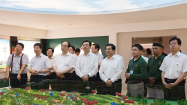 全国政协副主席王正伟来我市视察调研