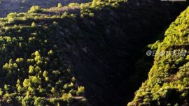 2015行走甘肅-光影慶陽(yáng)