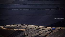 生生不息！寧夏生活小區(qū)——印象慶陽攝影協(xié)會(huì)