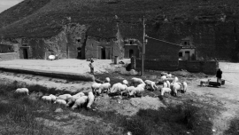 我的攝影路上——印象慶陽網(wǎng)攝影