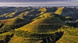 延安市吳旗縣白豹山上好風(fēng)光——昊琳