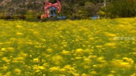 隴東大油田——周瑾成攝影