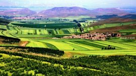 河北省壩上草原八月好風(fēng)光