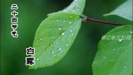 印象庆阳网：白露节气的由来