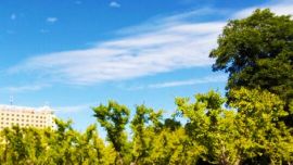 8月份庆阳市区环境空气质量优良天数29天