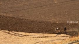 大地的脈絡(luò)——印象慶陽(yáng)攝影協(xié)會(huì)