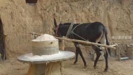 小時(shí)候的記憶一——印象慶陽(yáng)攝影協(xié)會(huì)