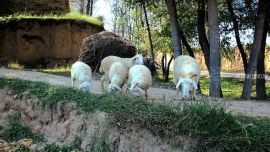 隴中農(nóng)村 ——印象慶陽(yáng)攝影協(xié)會(huì)