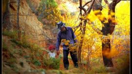 記憶中的小時(shí)光——印象慶陽(yáng)攝影協(xié)會(huì)