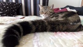 大灰貓影——印象慶陽(yáng)攝影協(xié)會(huì)