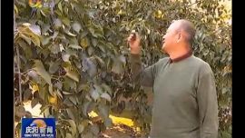 庆阳：党风廉政建设巡察工作向基层延伸