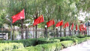 庆阳市“国旗一条街”创建活动纪实