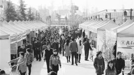 2015’中国（庆阳）农耕文化节农产品系列展销开展