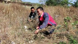 两个大学生的“羊倌梦”   （印象庆阳网）