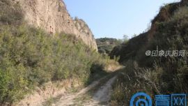 直播中国、重走丝路第六站庆阳站 走丝路探石窟寻古人踪迹