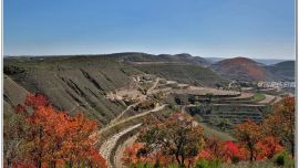 《秋意濃》——環(huán)縣東老爺山的秋景