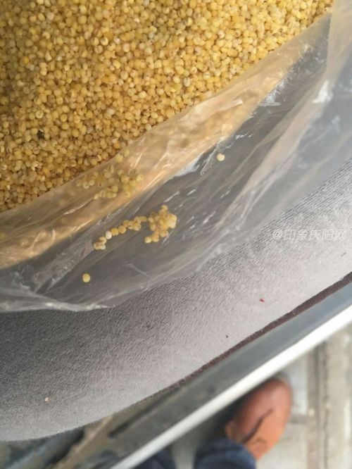 网民:买回小米发现有虫 超市答复不予赔偿