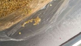 网民：买回小米发现有虫 超市答复不予赔偿