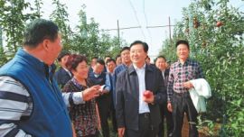 小苹果大产业靓名片——庆阳市发展苹果产业纪实（图）