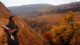 來(lái)一組秋圖——印象慶陽(yáng)攝影協(xié)會(huì)