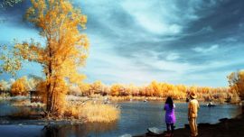 秋 紅外線攝影——印象慶陽(yáng)攝影協(xié)會(huì)