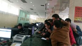 网选车牌首日 庆阳400余辆新车领“身份证”