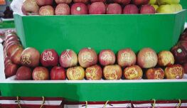 中国·庆阳苹果（福州）推介会福州开幕