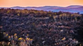 “美麗慶陽(yáng)·幸福家園”攝影大賽第三賽季參賽作品選登    