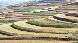 梯田建设托起庆阳农民致富新希望——庆阳市梯田建设纪实