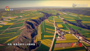 庆阳市旅游宣传片《庆阳》——印象庆阳网