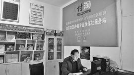 合作社带领果农种“金果” ——2015年庆阳苹果产销情况调查