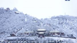 慶城縣周祖陵公園雪后初霽   銀裝素裹如童話世界