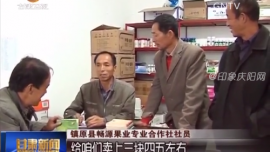 庆阳：专业合作社搭建群众增收致富桥