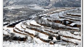 瑞雪秀隴原——印象慶陽網(wǎng)