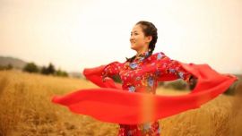 慶陽麥田情——印象慶陽網(wǎng)