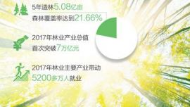 全球森林資源 中國(guó)增長(zhǎng)最多