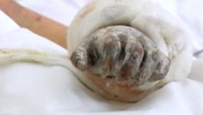 焦点访谈|谎言不攻自破