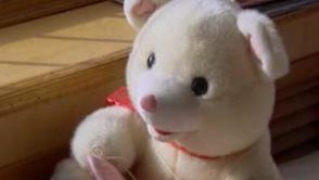 焦点访谈|悲剧不能重演