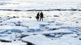 大連現(xiàn)“極地冰原”景觀 專(zhuān)家：只是看著像