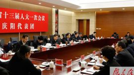 庆阳代表团审议省政府工作报告