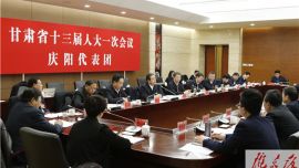 庆阳代表团审议省人大常委会工作报告