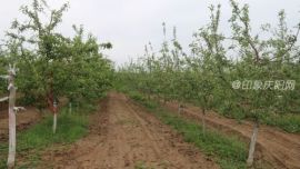 “三變”改革撬動(dòng)西峰區(qū)后官寨鎮(zhèn)發(fā)展新活力